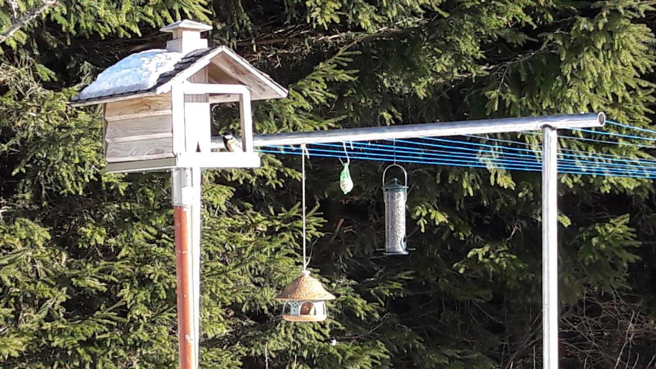 Ferienwohnung Hauptmann Frauenwald Exteriör bild